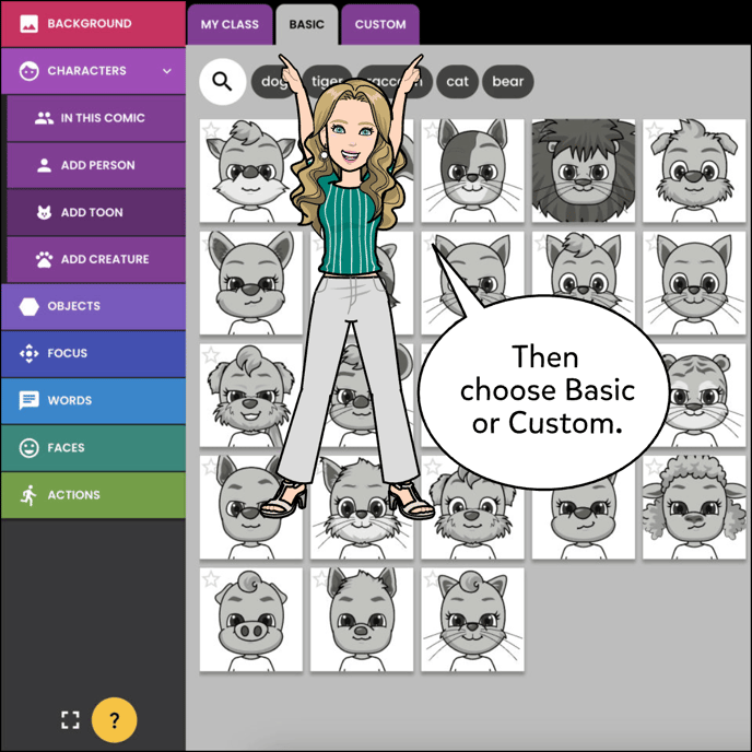 Choose Basic or Custom options at the top.